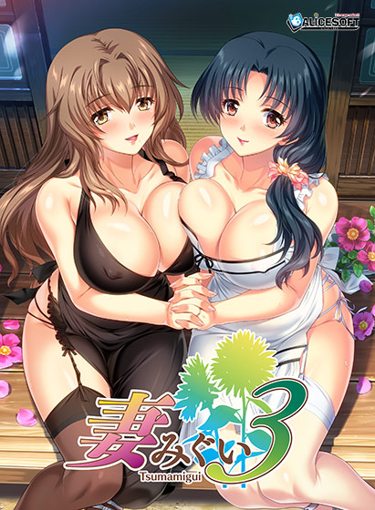 妻みぐい3｜評価4.16(88件)・PCゲームレビュー【18禁】