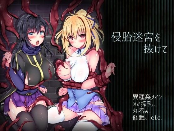 侵胎迷宮を抜けて｜評価4.20(40件)・同人作品レビュー【18禁】
