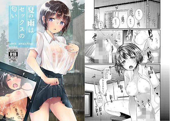 夏の雨はセックスの匂い｜評価3.93(28件)・同人作品レビュー【18禁】