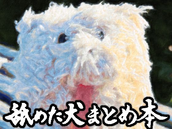 舐めた犬まとめ本｜評価4.87(30件)・同人作品レビュー【18禁】