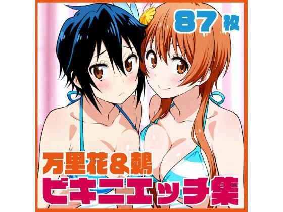 万里花＆鶫 お部屋でビキニエッチCG集｜同人作品レビュー【18禁】