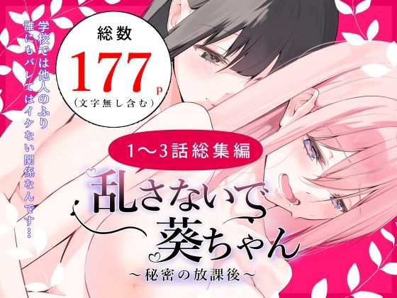 乱さないで葵ちゃん〜秘密の放課後〜総集編｜同人作品レビュー【18禁】