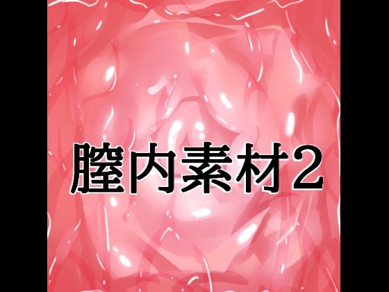膣内素材2｜同人作品レビュー【18禁】