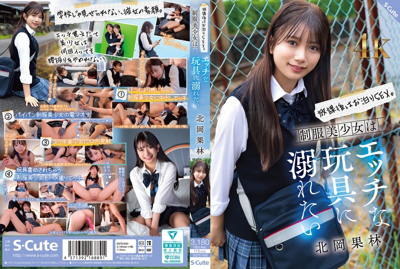 放課後はお泊りSEX。制服美少女はエッチな玩具に溺れたい 北岡果林｜評価4.76(38件)・成人向け動画レビュー【18禁】